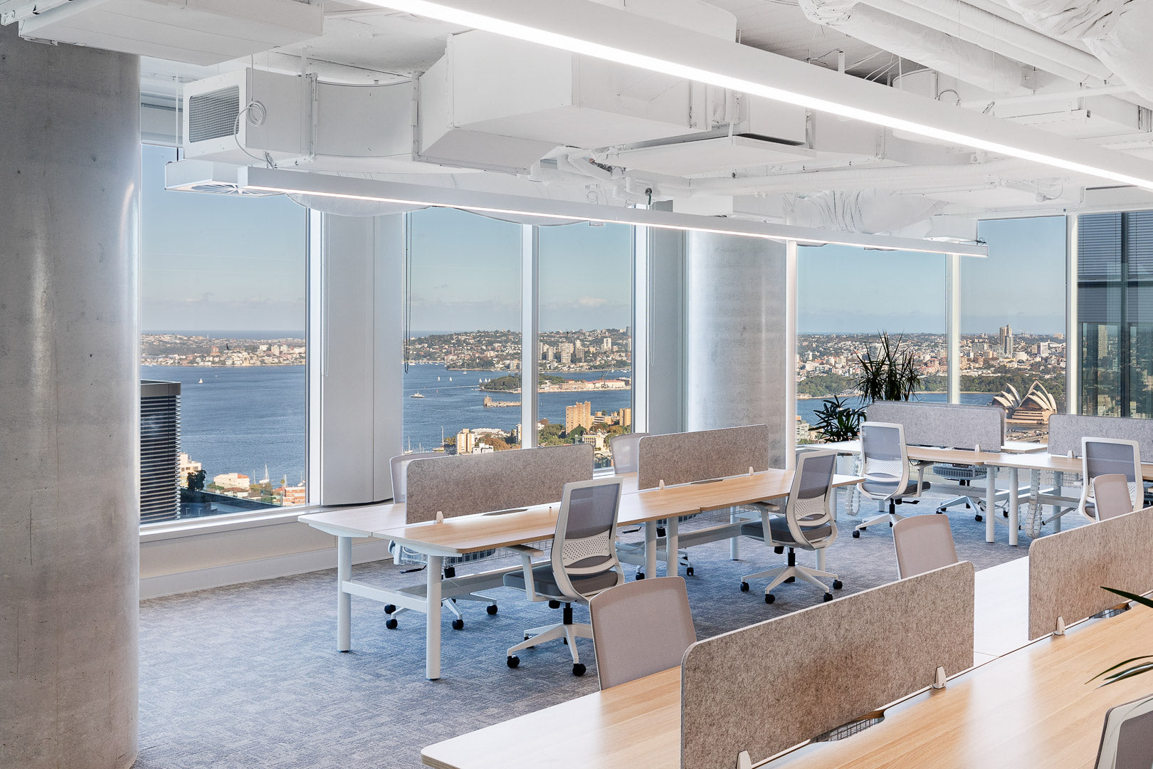 Workstations at 88 Walker Street North Sydney - by HOW Group Commercial Furniture Solutions