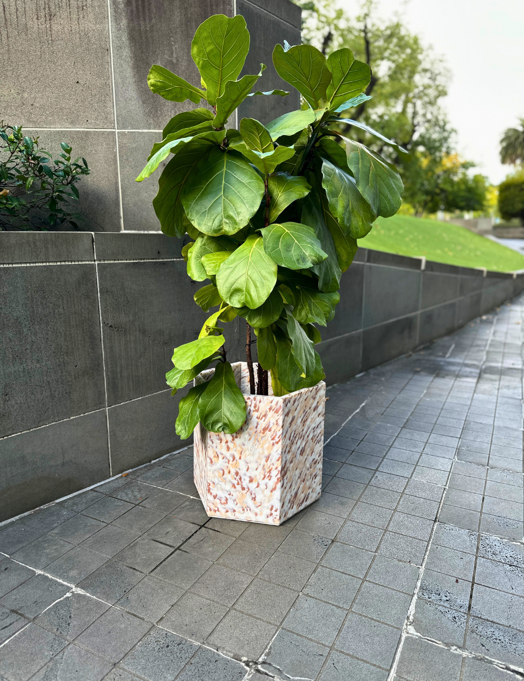 Form Planter - HOW Group